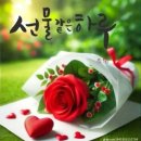 아름다운날 Daum카페