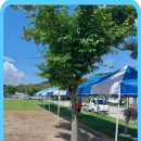 대구종합상사 이미지