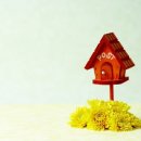 적성우체국 이미지