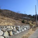 성진분체