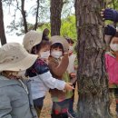 초록빛유치원 이미지