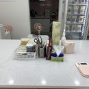 멍냥플레이트 이미지