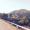 대월농장 이미지