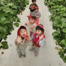 도리원초등학교 병설유치원 이미지