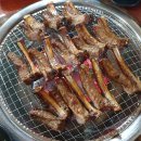 원시쪽갈비 이미지