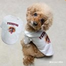 강아지 옷 만들기 | 온어스샵 강아지커스텀티셔츠 : 하나뿐인 강아지옷만들기