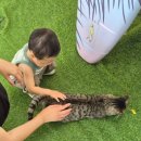 청시행 | 남양주 아기랑 가볼 만한 곳 추천ㅣ미호박물관 근처 뷰맛집 수제버거맛집 다녀온 후기[청시행]