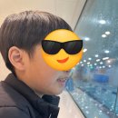 오션하이스윔 이미지
