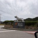 타이거CC 골프장 | 🏌️‍♀️ 노캐디라운딩과 2인라운딩 가능한 서울근교골프장 파주 타이거CC 야간라운딩 후기