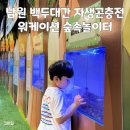 숲생태유치원 | 남원 실내 아이랑 가볼 만한 곳 백두대간 생태교육장 전시관 자생곤충전, 워케이션 숲속놀이터