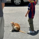 민둥산집 | 초등학생 아이와 세번째 등산 민둥산 후기 & 6월 연휴 기록