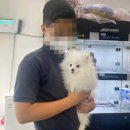 호야펫 | 하남미사강아지분양 호야펫 분양후기