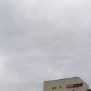 레드브릿지 이미지