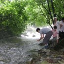 숲속의 계곡 이미지