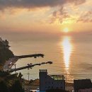 핑스애견펜션 | 핑스애견펜션 애견과 함께한 특별한 순간들