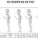 바른자세바디케어운동센터 이미지