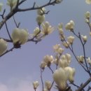 29-교하-29 이미지