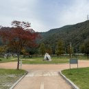 금수강산문화공원야영장(3) 네이버블로그