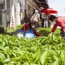 상하전통시장 이미지