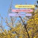 사라수변공원 이미지