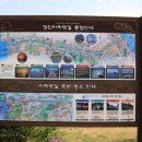 아라투어 이미지