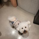 멍설유치원 이미지