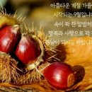 “단 4개의 수류탄으로 역사를 바꾼” 20살 청년이 몸으로 길을 열었습니다 이미지