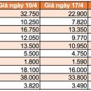 빈투어 주식회사 이미지
