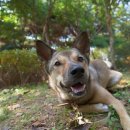 잭밥(JACKBAB) 이미지