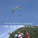 돼지날다 | 제주 금오름 패러글라이딩 안 하면 후회하는 액티비티 추천 힐링 여행 제주하늘을날다