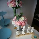 바바파티 이미지