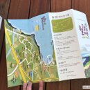 선인장을 부탁해 이미지