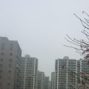 안중버스터미널 주변 이미지