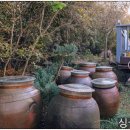 소희목장 이미지