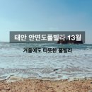 안면도 풀빌라 13월 이미지