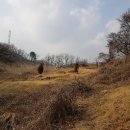 효촌1리 이미지