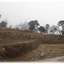 봉소2리 이미지