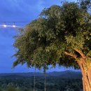 온더락캠핑장 이미지