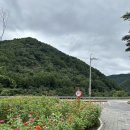 GS25평창방림점 이미지