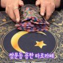 열린문 타로카페 이미지