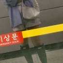 19. 봄 여름 그 중간