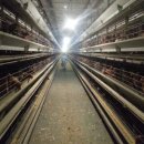 금포농장 이미지