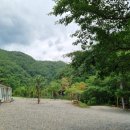 영월약수터 캠핑장 이미지