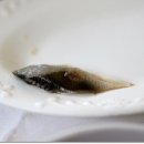 용궁회식당