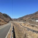 다릿거리