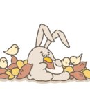 구름 펫 살롱 이미지