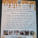 청춘식품 | 환절기 감기예방에 좋은 레몬생강청&amp;호두정과 &#39;수제청 청춘&#39; 후기