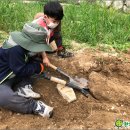 과천자주
