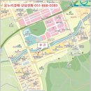 반룡로 이미지