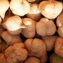 정민농장 이미지